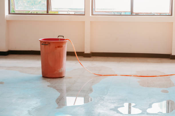 istock water leak drop interior office building in red bucket from Ceiling and flow on terrazzo floor 1157518159