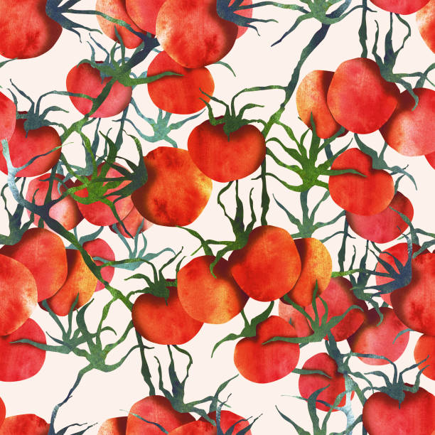 illustrazioni stock, clip art, cartoni animati e icone di tendenza di motivo senza cuciture cherry tomatoes. - campo di pomodori