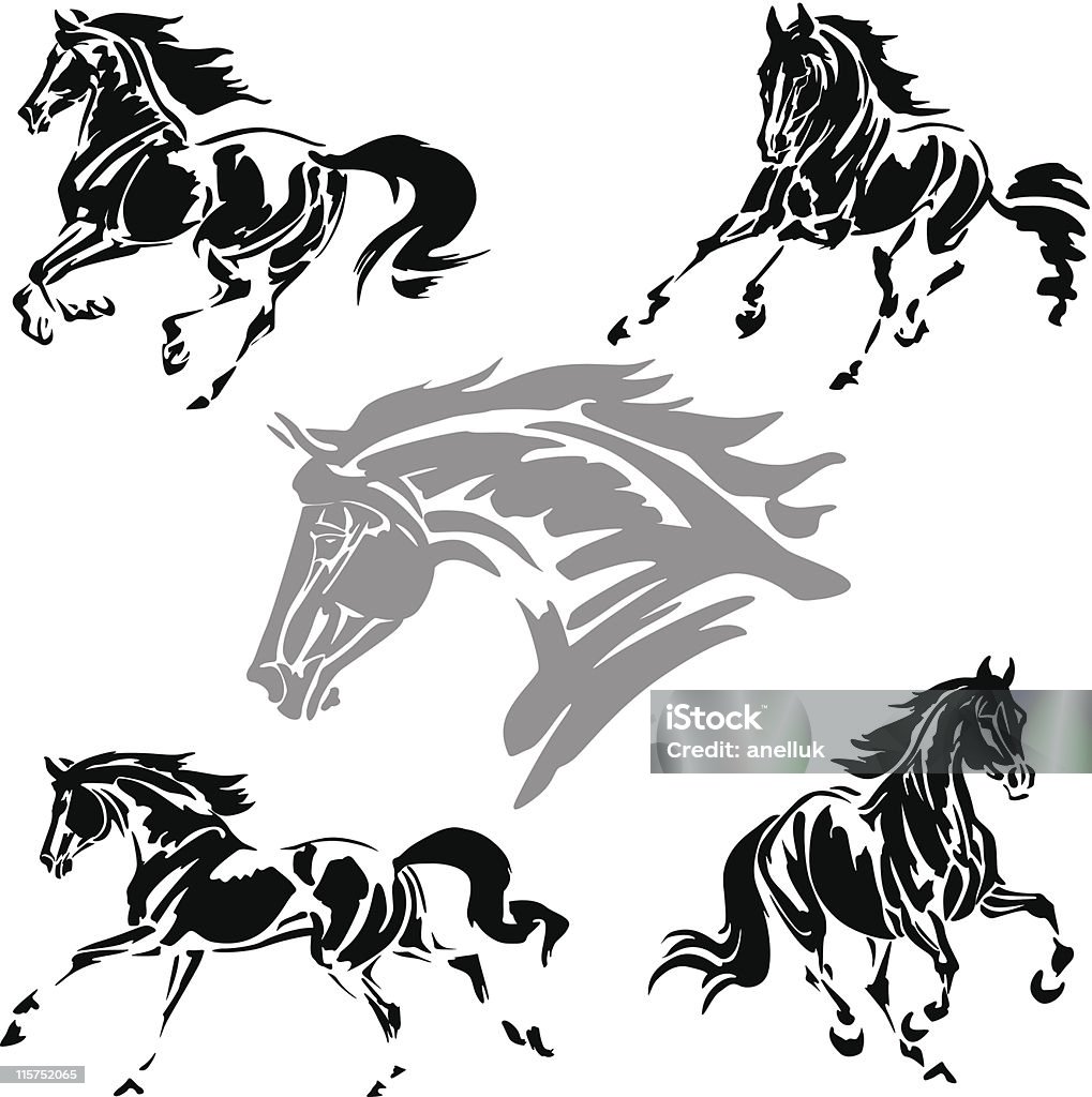 Galloping horses Vector illustrations based on brush-drawn studies of galloping horses. Horse stock vector