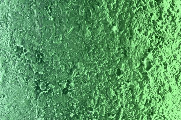 istock green multi colored style highlighted relief stucco texture - cute abstract photo background 1157522076