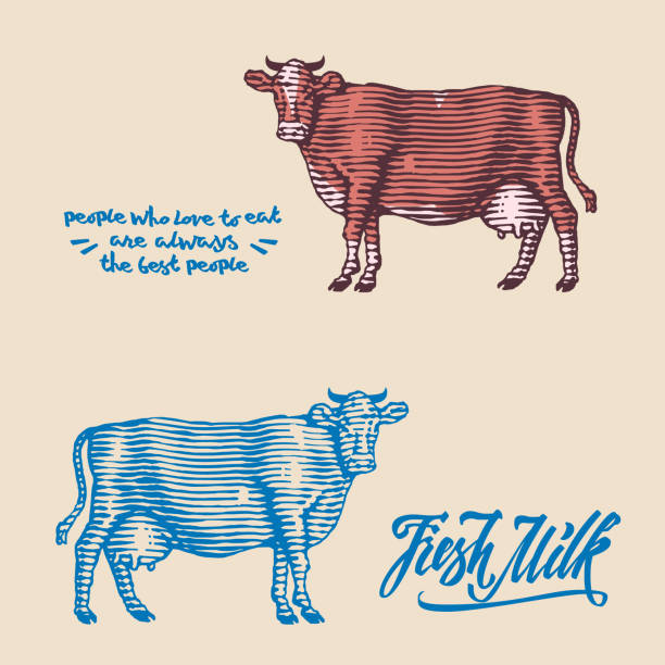 Milk engraving. Cow farm design template. isolated objects. lettering elements