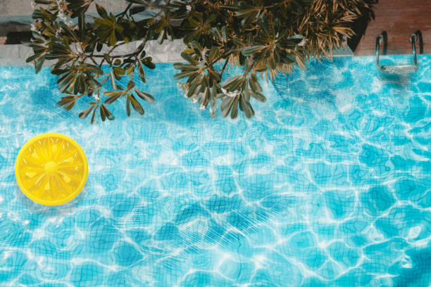 istock Pool float, ring floating in a refreshing blue swimming pool with palm tree leaf shadows in water. Top View 1157523148