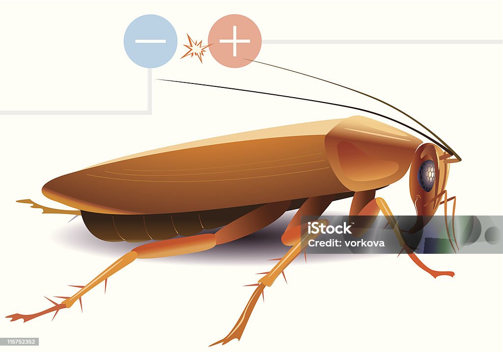 ゴキブリ - アノードのロイヤリティフリーベクトルアート