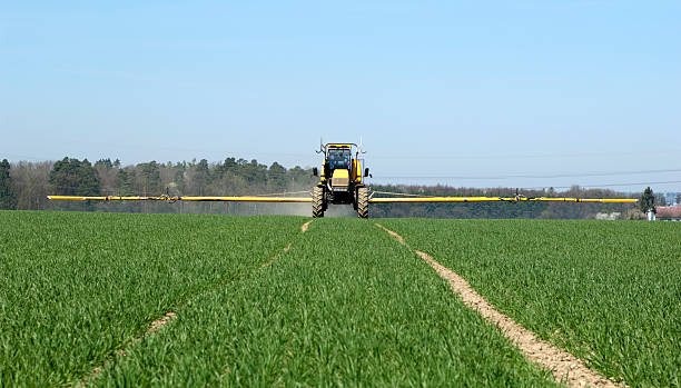 Wide angle image of a crop spray machine spraying chemicals on wheat crop on a farm in south africa