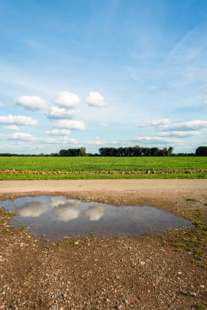White clouds and a blue sky reflected in the water of a puddle at the roadside. It is a sunny day in the Dutch autumn season.