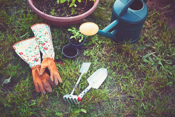 istock Accessories for gardening in summer 1157530832