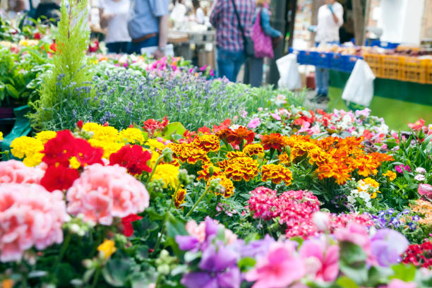 istock Street market 1157532155