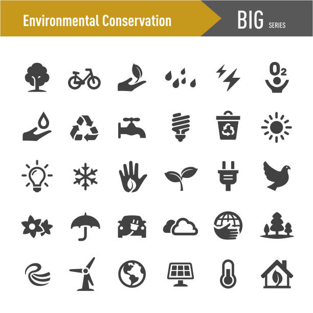 ilustraciones, imágenes clip art, dibujos animados e iconos de stock de iconos de conservación ambiental - big series - heat vector environment animal