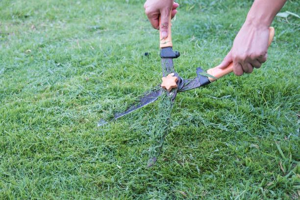 gras schneiden schere auf dem grasbewachsenen hintergrund. - lawn mowing gardening obsessive stock-fotos und bilder