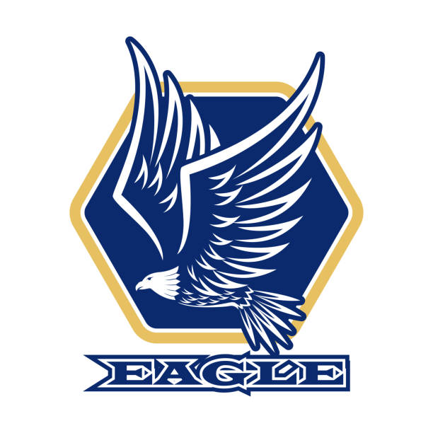 귀하의 비즈니스 회사에 대한 독수리 휘장. 벡터 일러스트레이션 - symbol military star eagle stock illustrations