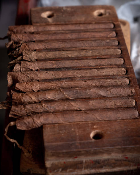 istock Cigar rolling or making by torcedor in cuba, Pinar del rio province 1157540082
