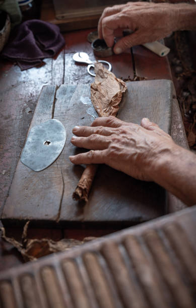 istock Cigar rolling or making by torcedor in cuba, Pinar del rio province 1157540167