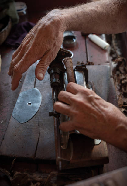 istock Cigar rolling or making by torcedor in cuba, Pinar del rio province 1157540169