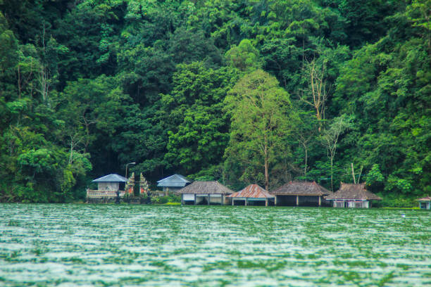 vida da vila de trunyan no lago batur e no vulcão bali indonésia - algi - fotografias e filmes do acervo