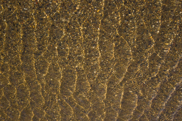 istock image, background, basis, flow, water, river, drawing, sand, underwater, pattern, wallpaper, contrast, smoothness, bend, light, day, natural, clean, shore, glare, shade, structure, visibility, observation, beautiful, abstraction, idea, art, composition, l 1157546662