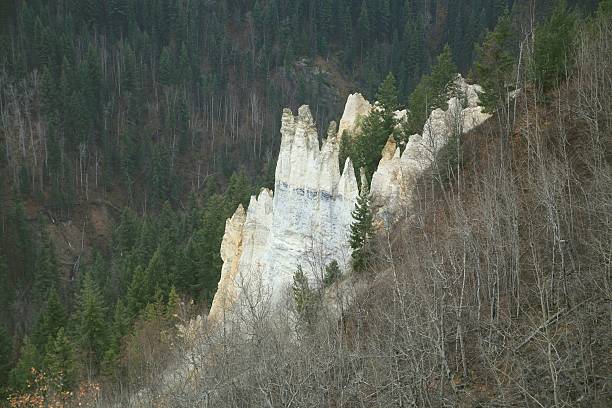 Hoodoos in Pinnacles Park west of Quesnel, B.C. Pinnacles Provincial Park comprises approximately 124 hectares of pine forest overlooking Baker Creek, west of Quesnel, B.C. From the Pinnacles viewpoint, visitors enjoy the unique formation of "Hoodoos", and a picturesque view of the city of Quesnel and Baker Creek. quesnel stock pictures, royalty-free photos & images
