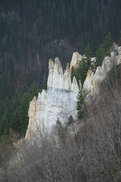 Pinnacles Park hoodoos near Quesnel, B.C., Canada. Pinnacles Provincial Park comprises approximately 124 hectares of pine forest overlooking Baker Creek, west of Quesnel, B.C. From the Pinnacles viewpoint, visitors enjoy the unique formation of "Hoodoos", and a picturesque view of the city of Quesnel and Baker Creek. quesnel stock pictures, royalty-free photos & images
