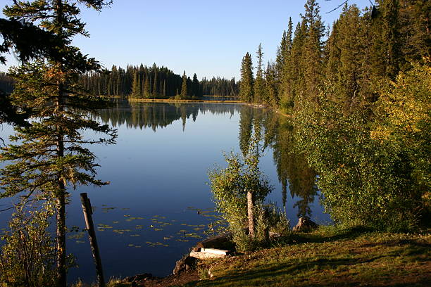 Morning reflections on an upland lake. stock photo