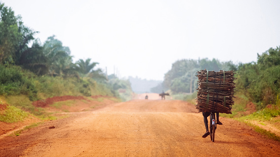 African man carries firewood - Benin
