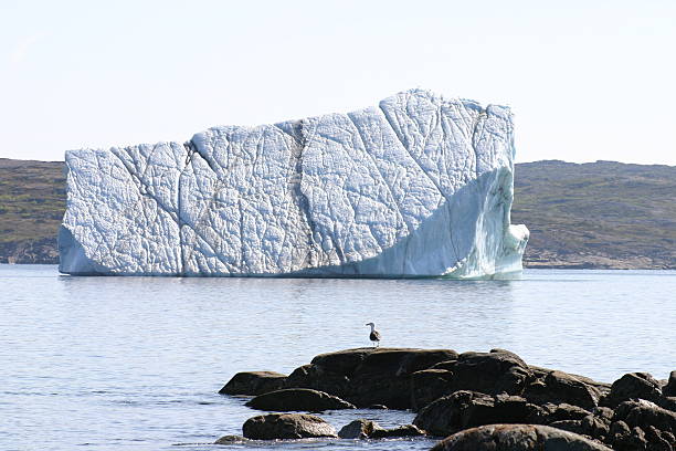 Iceberg near St. Anthony, Newfoundland, Canada. Giant Iceberg near St. Anthony on northeast coast of Newfoundland, Canada. st anthony of padua stock pictures, royalty-free photos & images