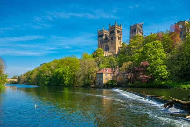 Durham Cathedral and River Wear in Spring in Durham, England Durham Cathedral and River Wear in Spring in Durham, United Kingdom river wear stock pictures, royalty-free photos & images
