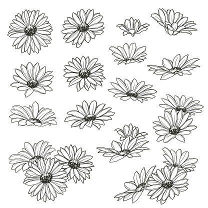 Illustration material of the flower
I designed a flower,
I worked in vectors,