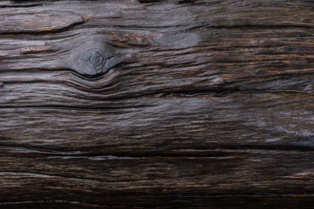 Photo of A wet wood line pattern with wood eye that look magical and sacred texture