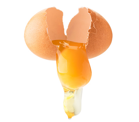 Chicken egg broken in half, follows yolk and protein on a white background, isolated.