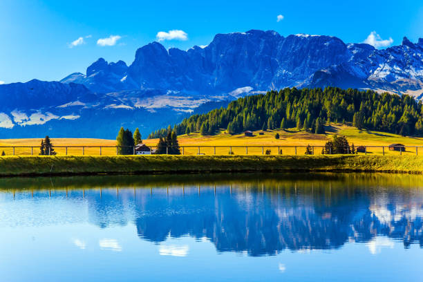 сиуси альп живописное плато - forest alp tirol hiking стоковые фото и изображения