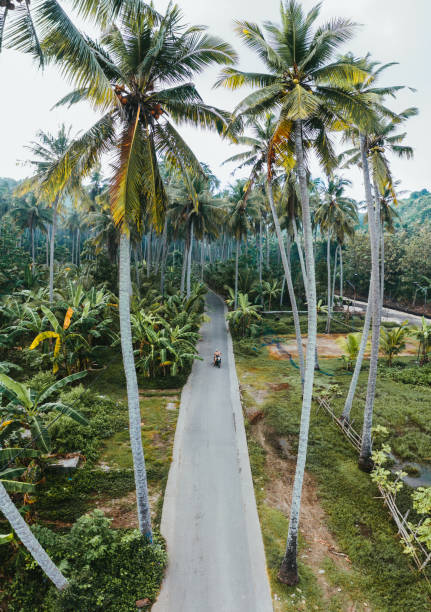 vue aérienne scénique de femme conduisant le scooter dans les jungles sur nusa penida - nusa lembongan photos photos et images de collection