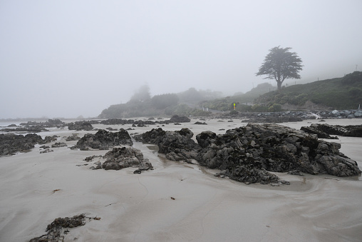 Landscape of rock beach with sea fog