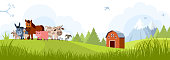 istock Farm and Domestic Animals 1157571293