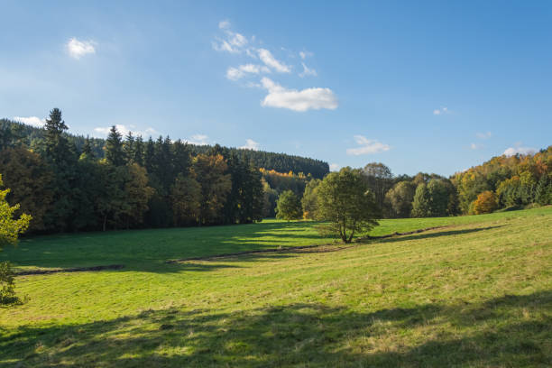 istock Scenic summer landscape with green fields 1157571369