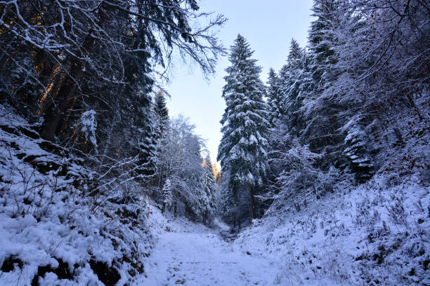 winter