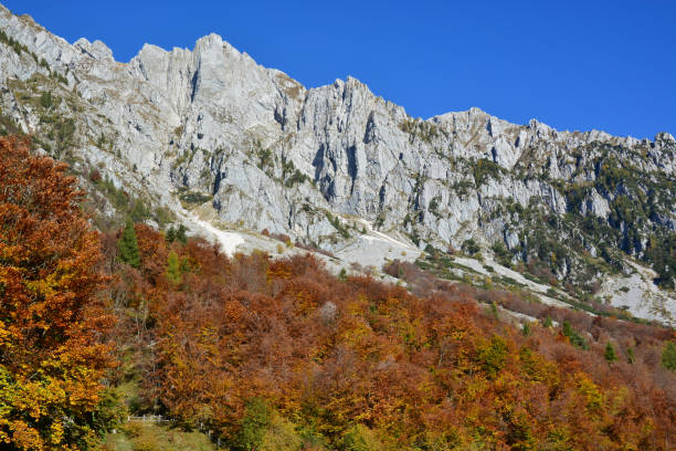 istock Autumn in the mountains 1157577776