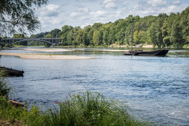 River summer landscape stock photo