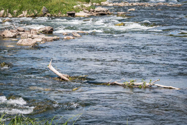istock Stream water of the river 1157579024