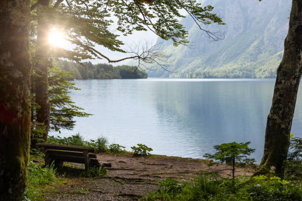 bohinjsko jezero -bohinj lake, slovenia, europe - lake bohinj imagens e fotografias de stock