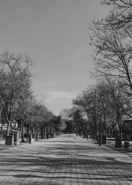 Walk in the Parque de la Alameda in Talavera de la Reina, Toledo, Spain.