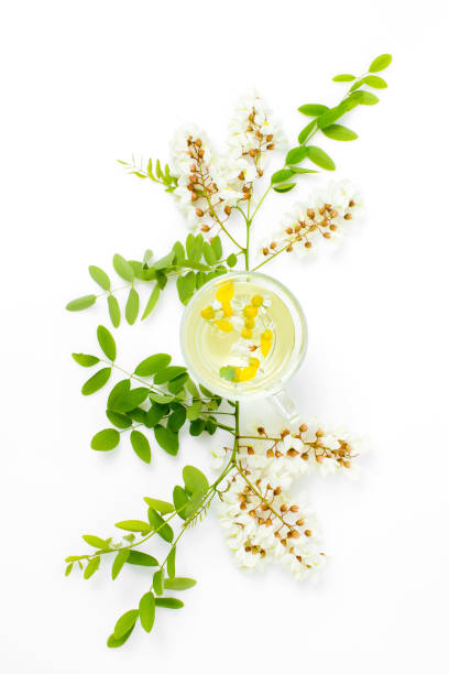 herbal chamomile tea with acacia and acacia flowers on a white isolated background. spa concept stock photo
