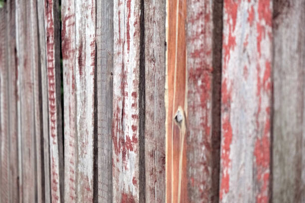 istock Texture of wooden fence, vertical logs frame background 1157590586