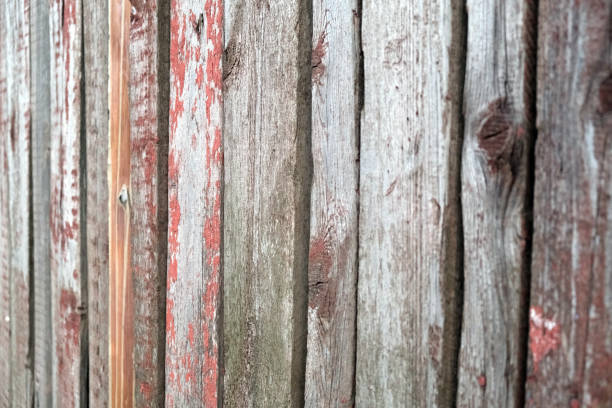 istock Texture of wooden fence, vertical logs frame background 1157590587
