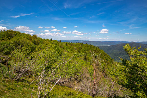 istock View from the Alsatian Belchen to the north 1157591857