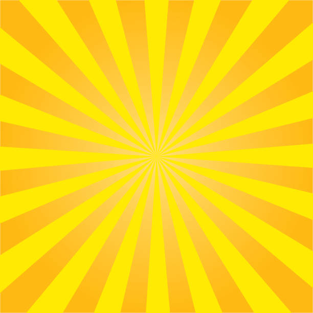 Yellow sun rays. Radial retro background. vector eps10 Yellow sun rays. Radial retro background elasmobranch stock illustrations