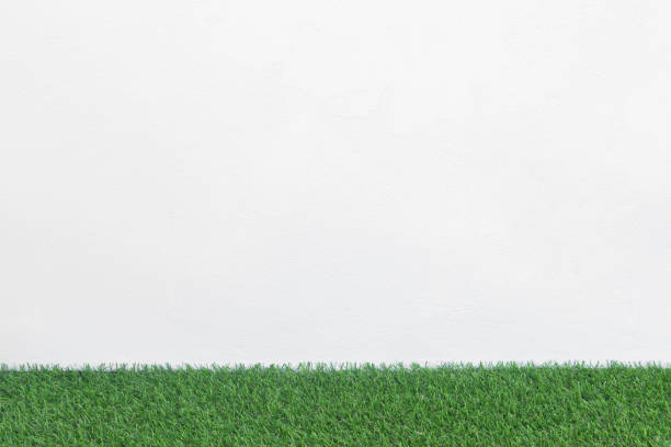 Green grass floor with white concrete background, Mockup for design.