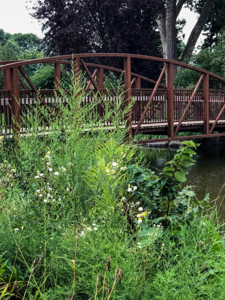 istock Brown metal bridge in city park 1157599542