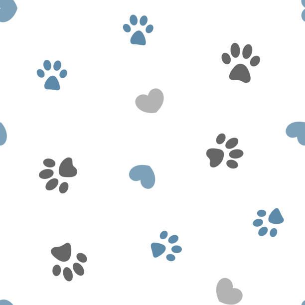 seamless pattern pawprints and hearts Gray and blue paws and hearts on white background seamless pattern. grey cat white paws stock illustrations
