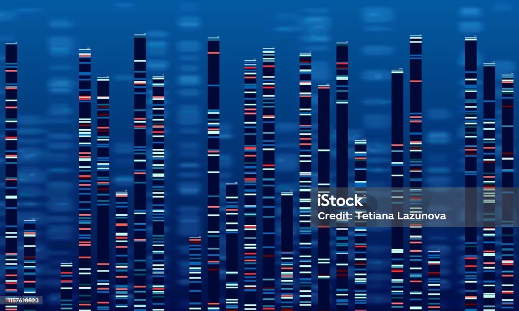 Standard Dna Graph Dna Data Chart Medicine Test Graphic Abstract Genome Sequences Graph ...