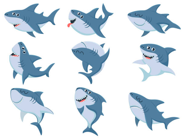 Ilustración de Tiburones De Dibujos Animados Animales De Tiburón Cómico Mandíbulas De Miedo Y Tiburones Enojados Natación Del Océano Juego De Ilustración Vectorial y más Vectores Libres de Derechos de Tiburón - Ilustración de Tiburones De Dibujos Animados Animales De Tiburón Cómico Mandíbulas De Miedo Y Tiburones Enojados Natación Del Océano Juego De Ilustración Vectorial y más Vectores Libres de Derechos de Tiburón -