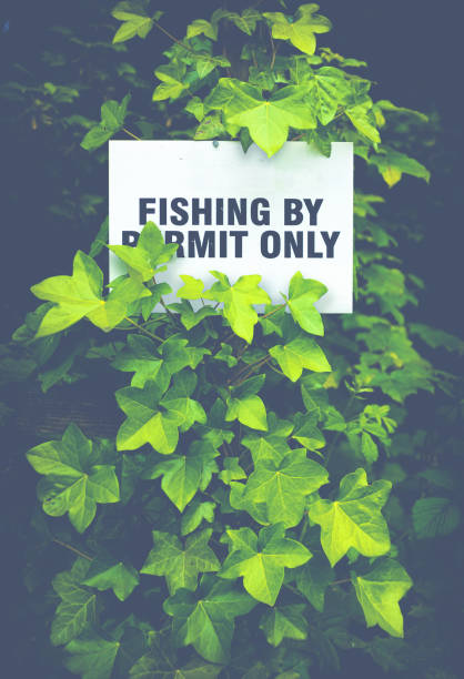 Scottish No Fishing Sign Fishing By Permit Only Sign Hidden In The Foliage By A Scottish River fly fishing scotland stock pictures, royalty-free photos & images